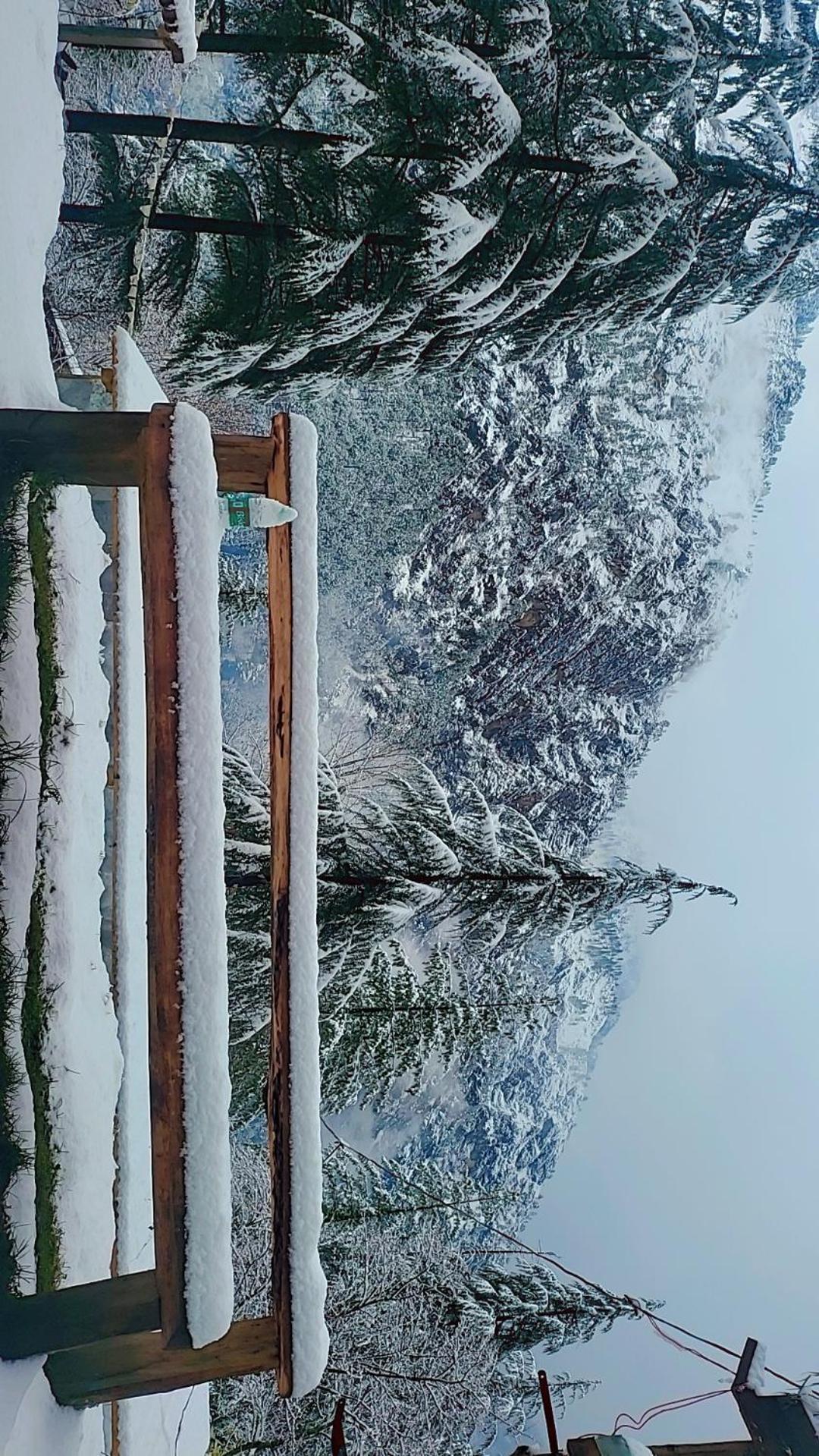 Shanti People Huts & Camp Kasol Exterior foto